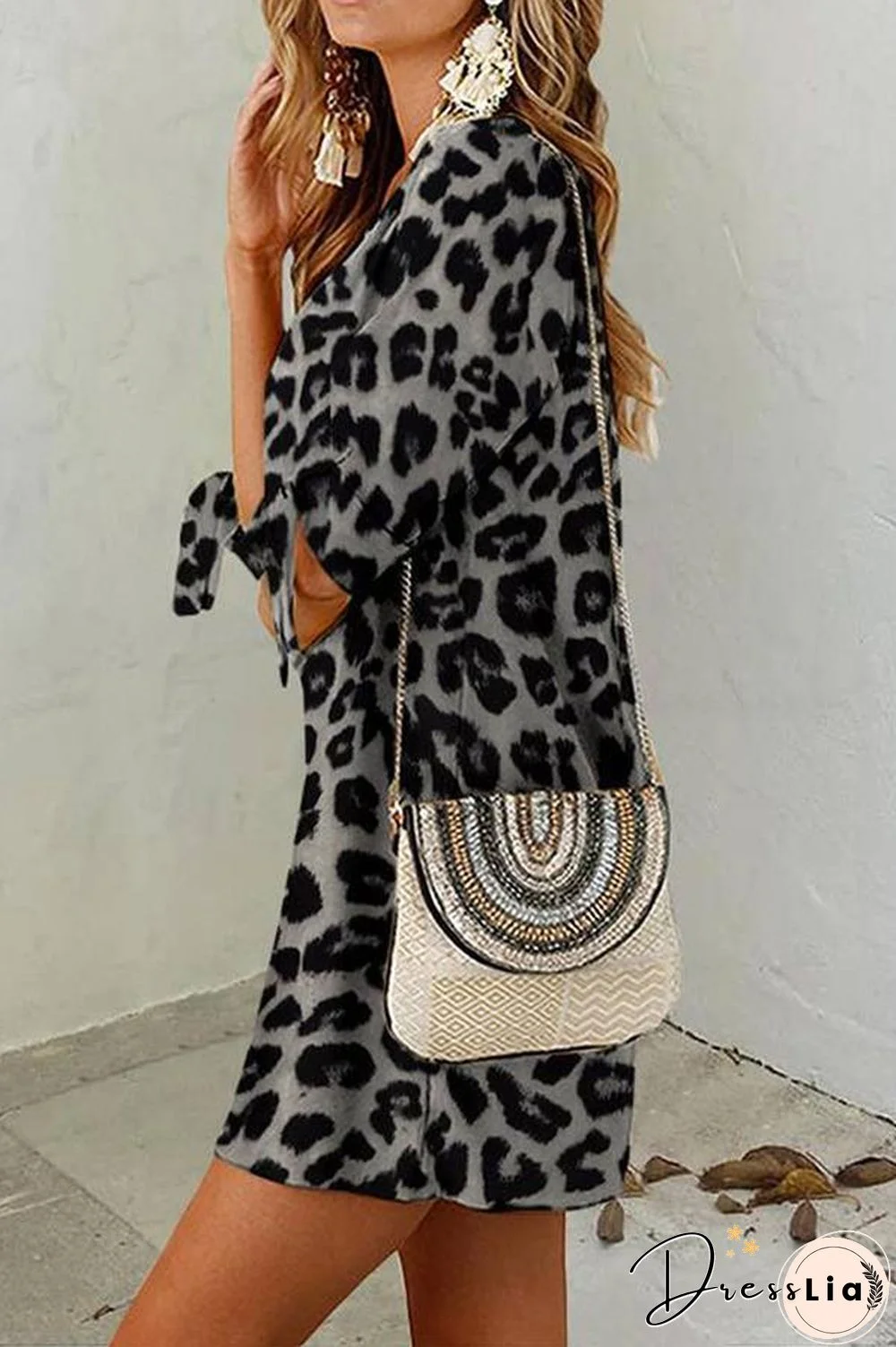 Leopard Print Round Neck Mini Dress (2 Colors) P13148