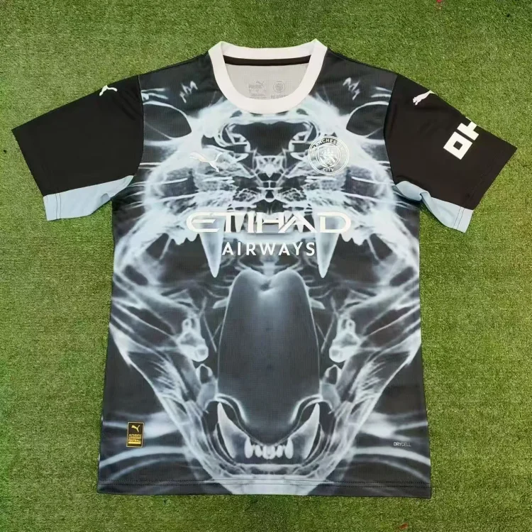 25/26 season Manchester City Concept Edition Jersey