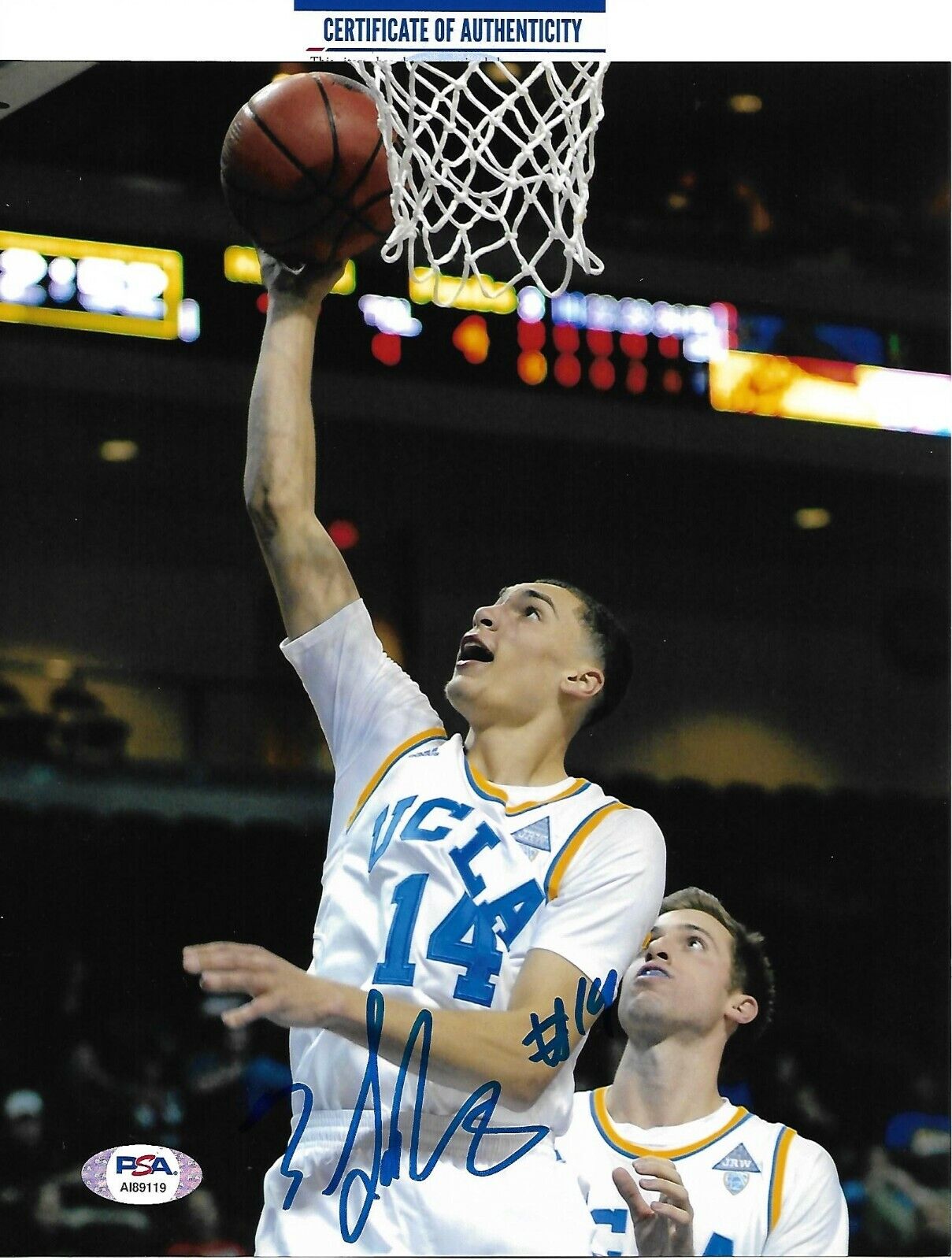 ZACH LAVINE signed autographed UCLA BRUINS, CHICAGO BULLS 8x10 Photo Poster painting w/ COA PSA