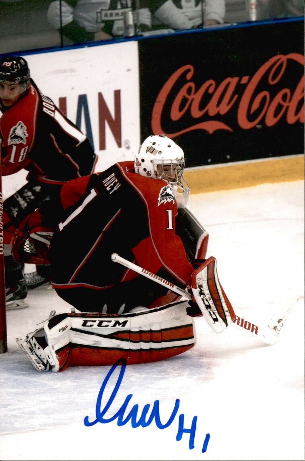 Sam Samuel Harvey SIGNED 4x6 Photo Poster painting ROUYN NORANDA HUSKIES / TEAM CANADA #2