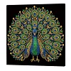 Peinture de perles DIY paon avec cadre en bois de 30x30 cm art en toile de perles