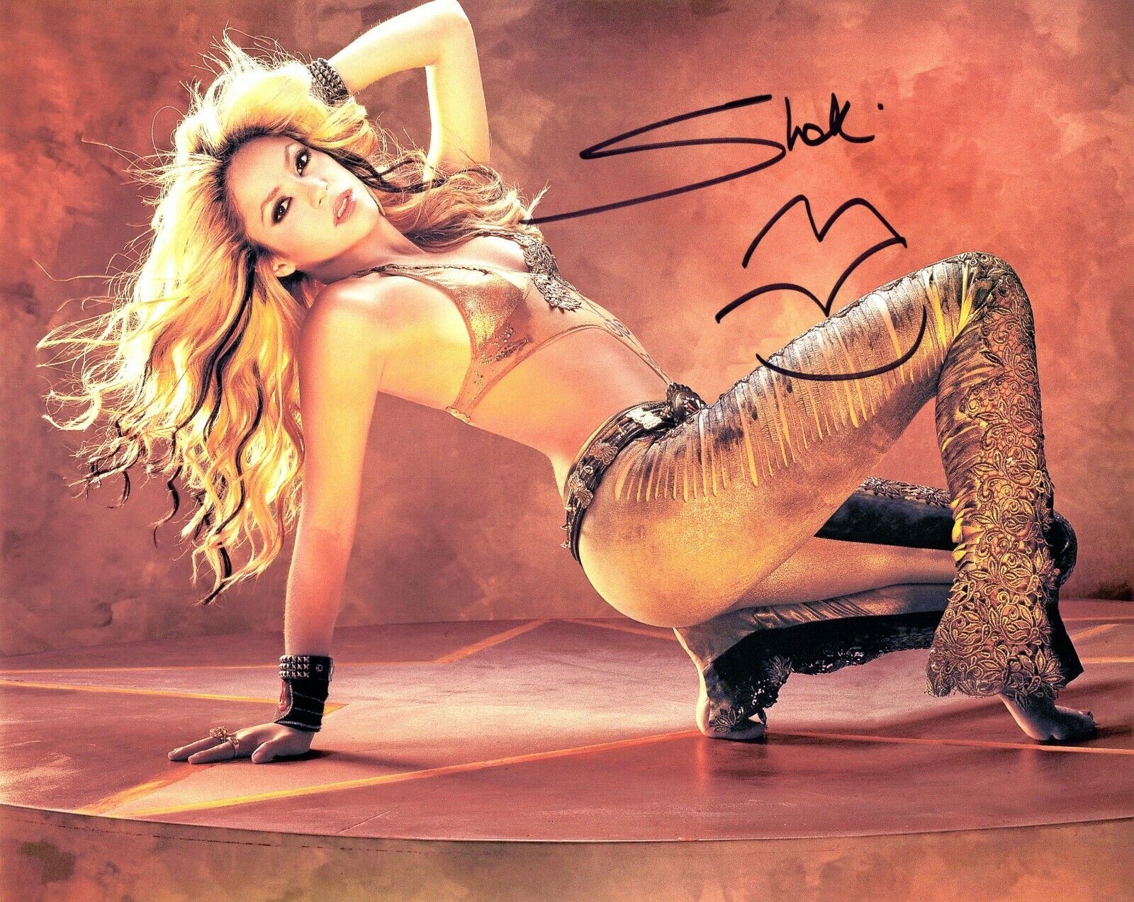 Signed Photo Poster painting of Shakira 10x8