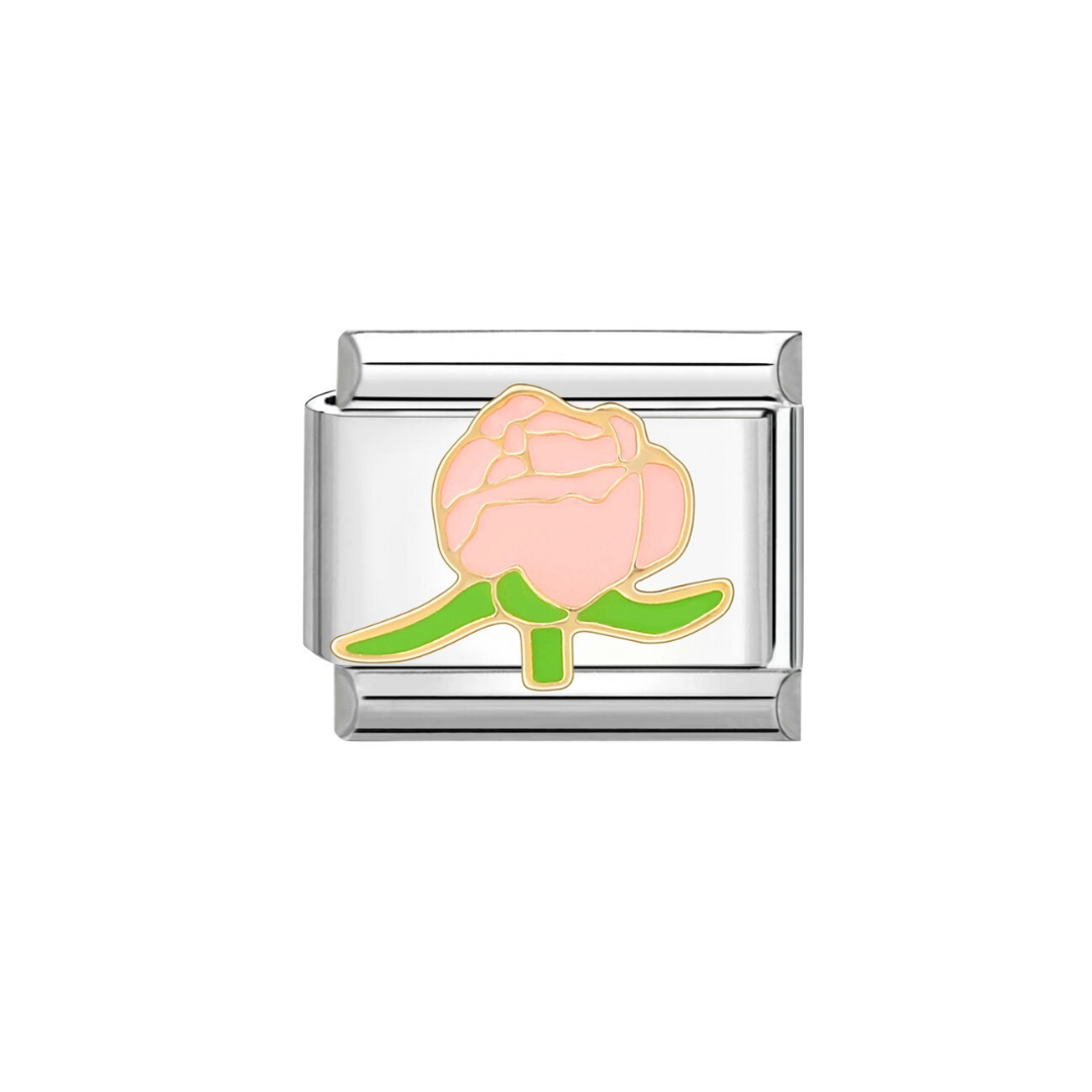 A Pink Flower (Flower)