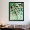 Diamond Painting-DIY Special Shaped Drill Pearl Painting Grapes(35x45cm)