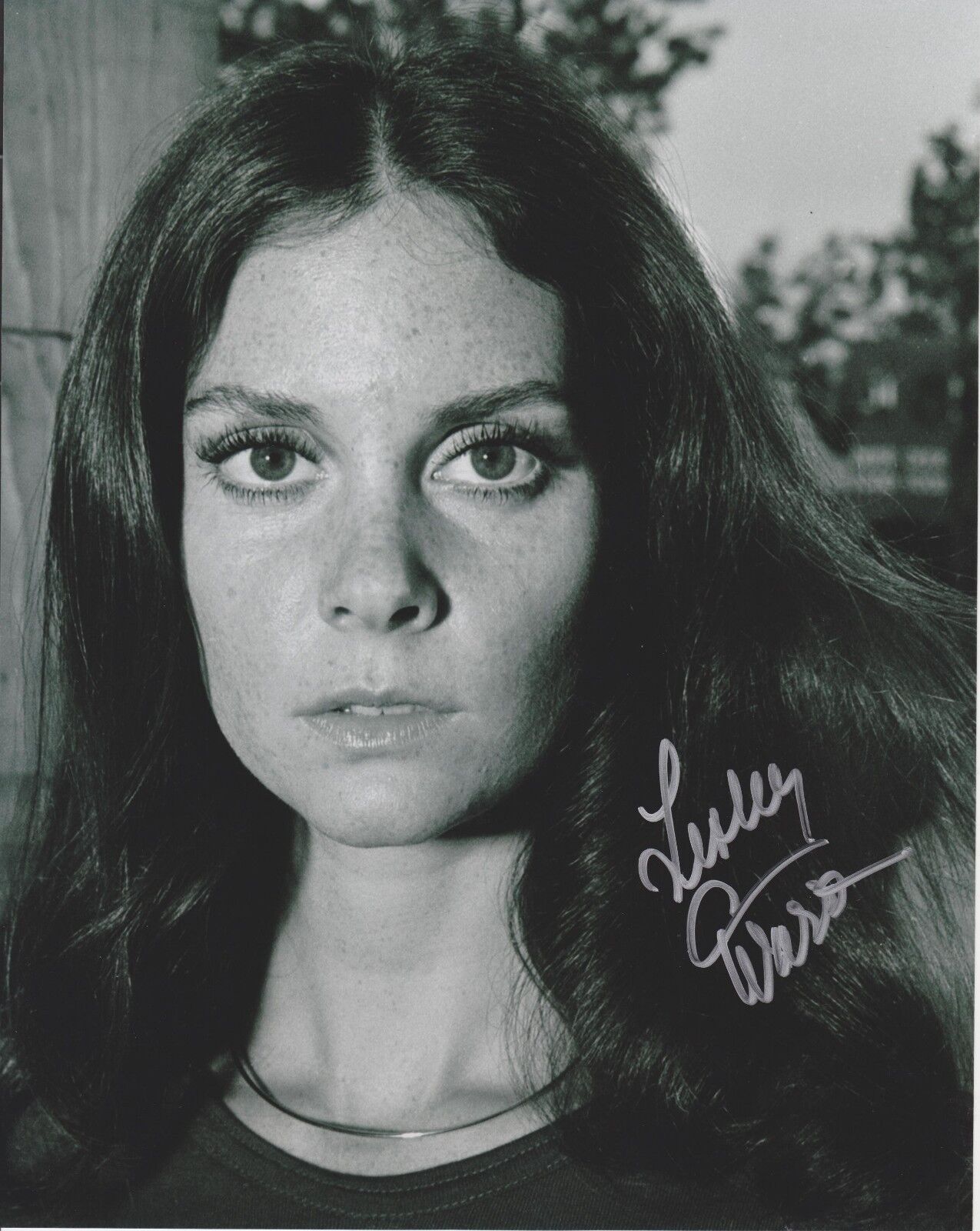 Lesley Ann Warren 8x10 Photo Poster painting - CLUE / MISSION IMPOSSIBLE / WALT DISNEY STAR #14