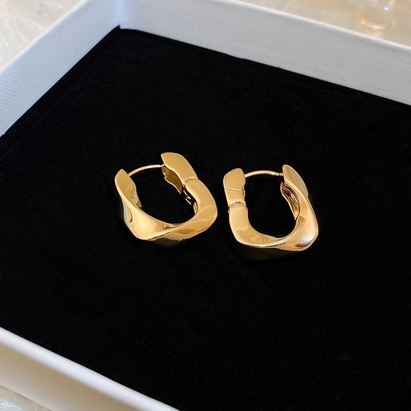 Silver Needle  Exaggerated Lovely Earrings Light Luxury High-grade Niche Earrings Fashion Metal Temperament Earrings For Women