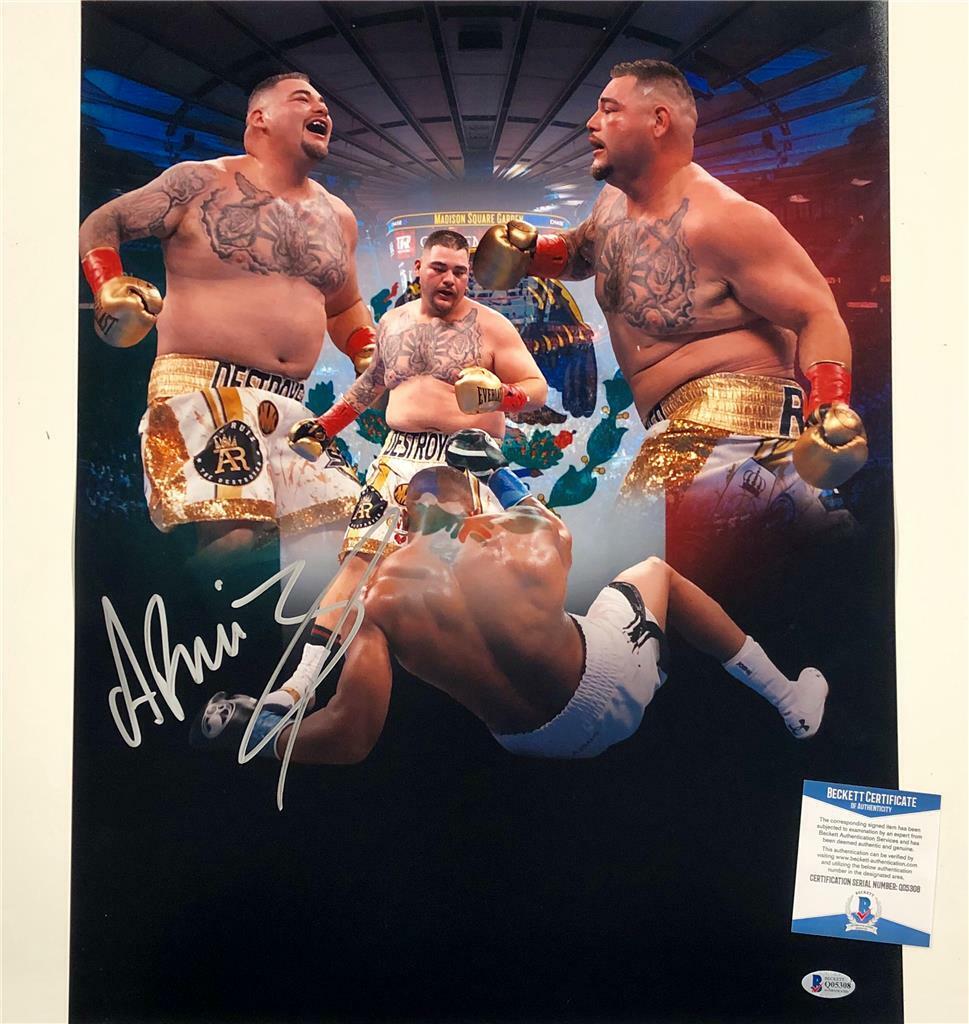 Mexican Boxing Champion ANDY RUIZ JR Signed 16x20 Photo Poster painting Collage BAS COA Beckett