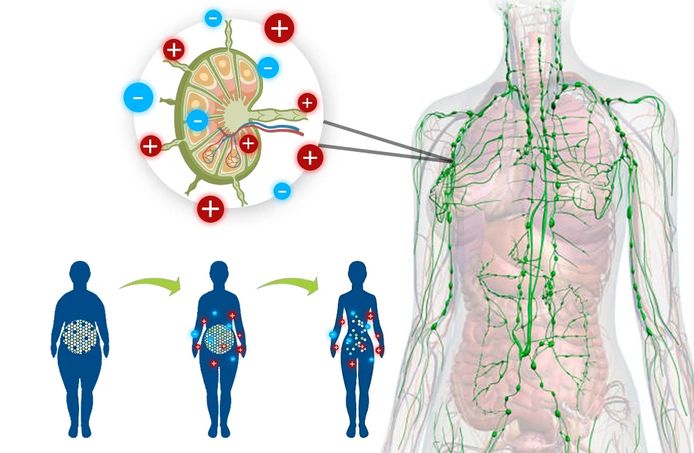 GFOUK&trade; IONSculpt Tourmaline Fiber Briefs