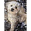 Diamond Painting -DIY Full Square Dril Dog