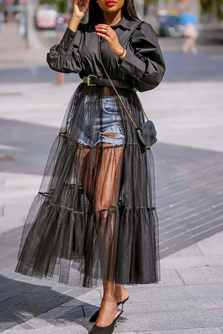 Plus Size Daily Dress Black A-Line Long Sleeve See-Through Midi Dress [Pre-Order]
