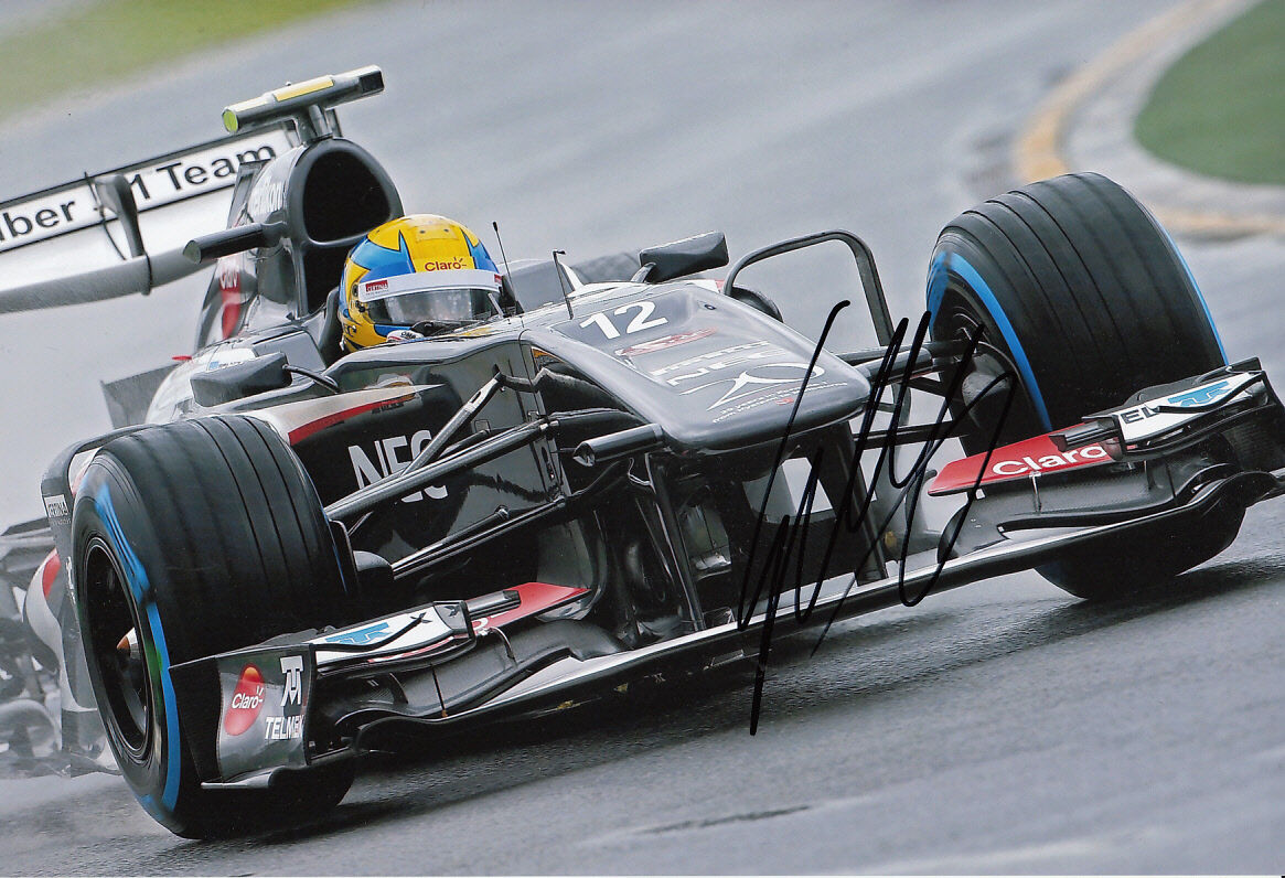 Esteban Gutierrez Hand Signed 2013 Sauber F1 Photo Poster painting 12x8 1.