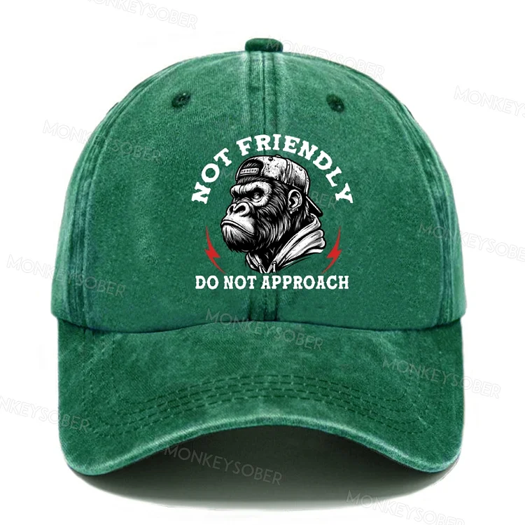 Not Friendly Do Not Approach Washed Baseball Cap