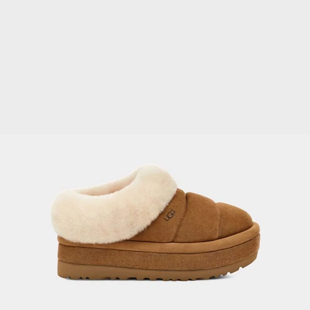 Ugg-Tazzlita