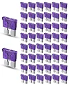 Riseuvo 50pcs 3A Standard Car Fuses - 3 AMP Automotive Fuses(ATO/APR/ATS), 32V (12/24V) Blade Fuse for RV/Truck/SUV