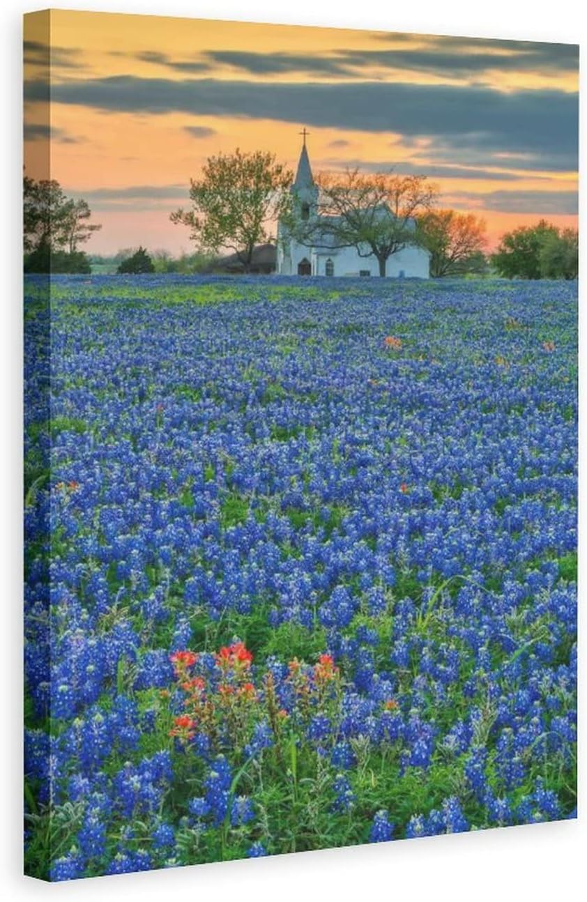 Beautiful Texas Bluebonnets Flowers Sunset Church Canvas Poster Bedroom Decor Sports Landscape Office Room Decor Gift,Canvas Poster Wall Art Decor Print Picture Paintings for Living Room Bedroom Decor 20x30inchs(50x75cm)