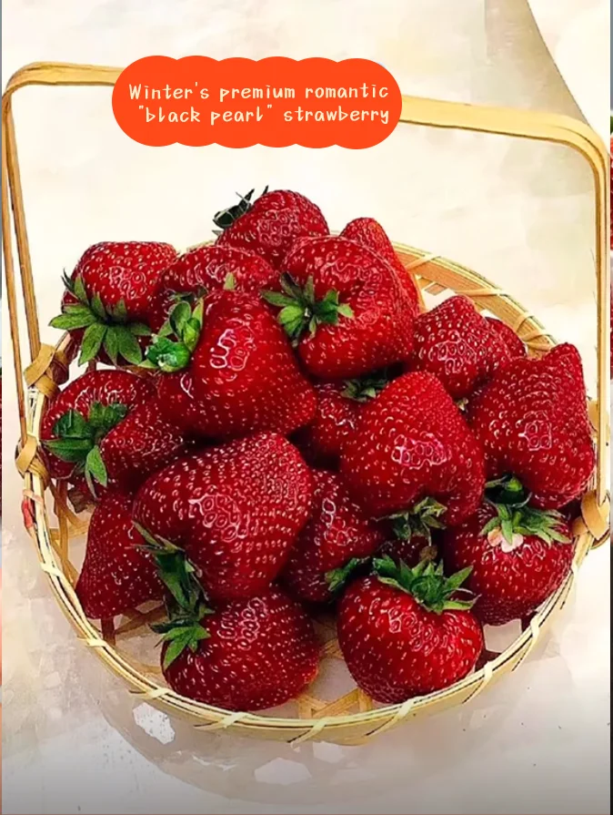 Black Pearl Strawberry Seeds