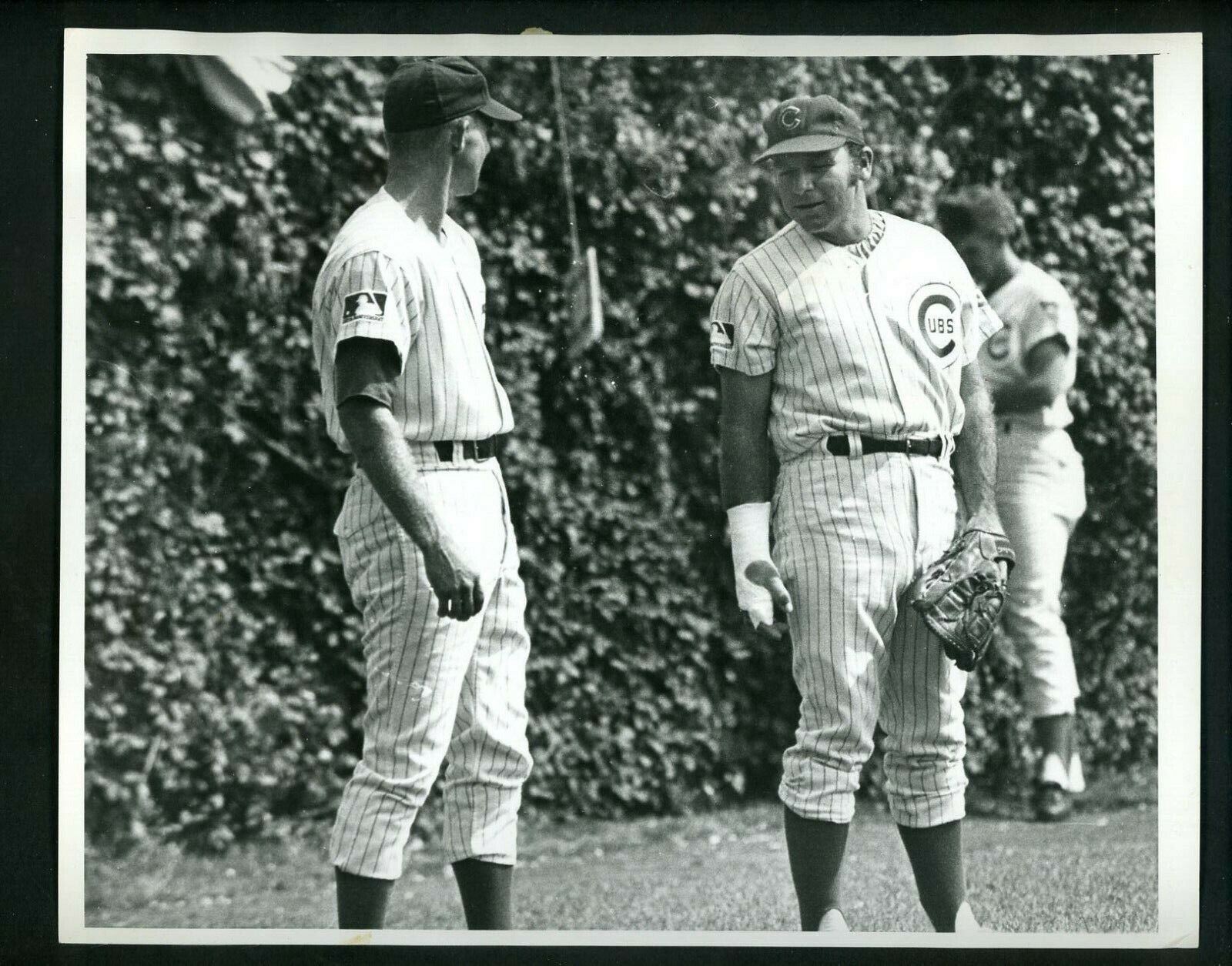 Jim Qualls & Bill Heath 1969 Type 1 Press Photo Poster painting Chicago Cubs Wrigley Field