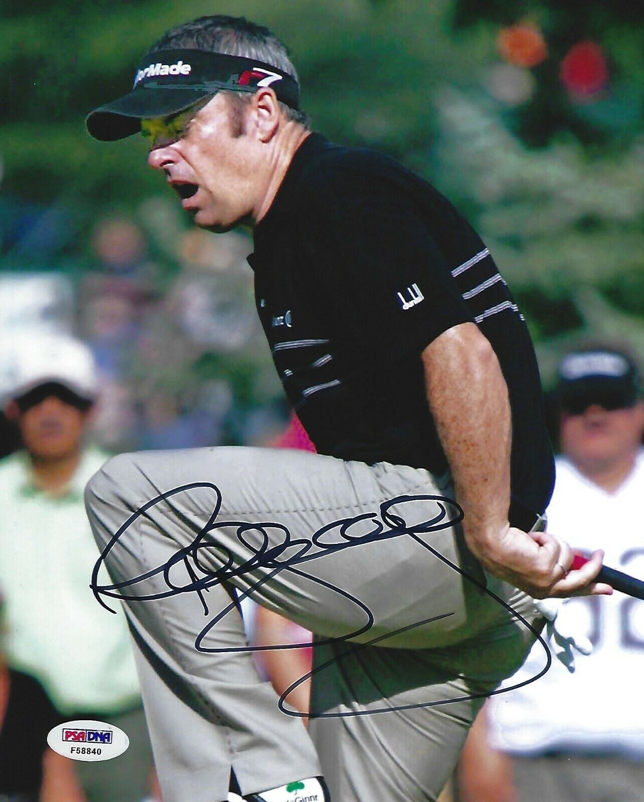 Paul McGinley Signed 8x10 Photo Poster painting PSA/DNA COA PGA Golf Ryder Cup Picture Autograph