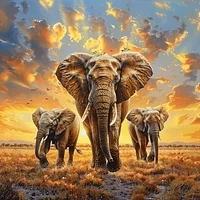 Elephant At Sunset - Diamond Painting