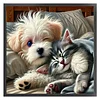 Dog Cat-11CT Stamped Cross Stitch 40*40cm/15.75*15.75in tapestrymarket