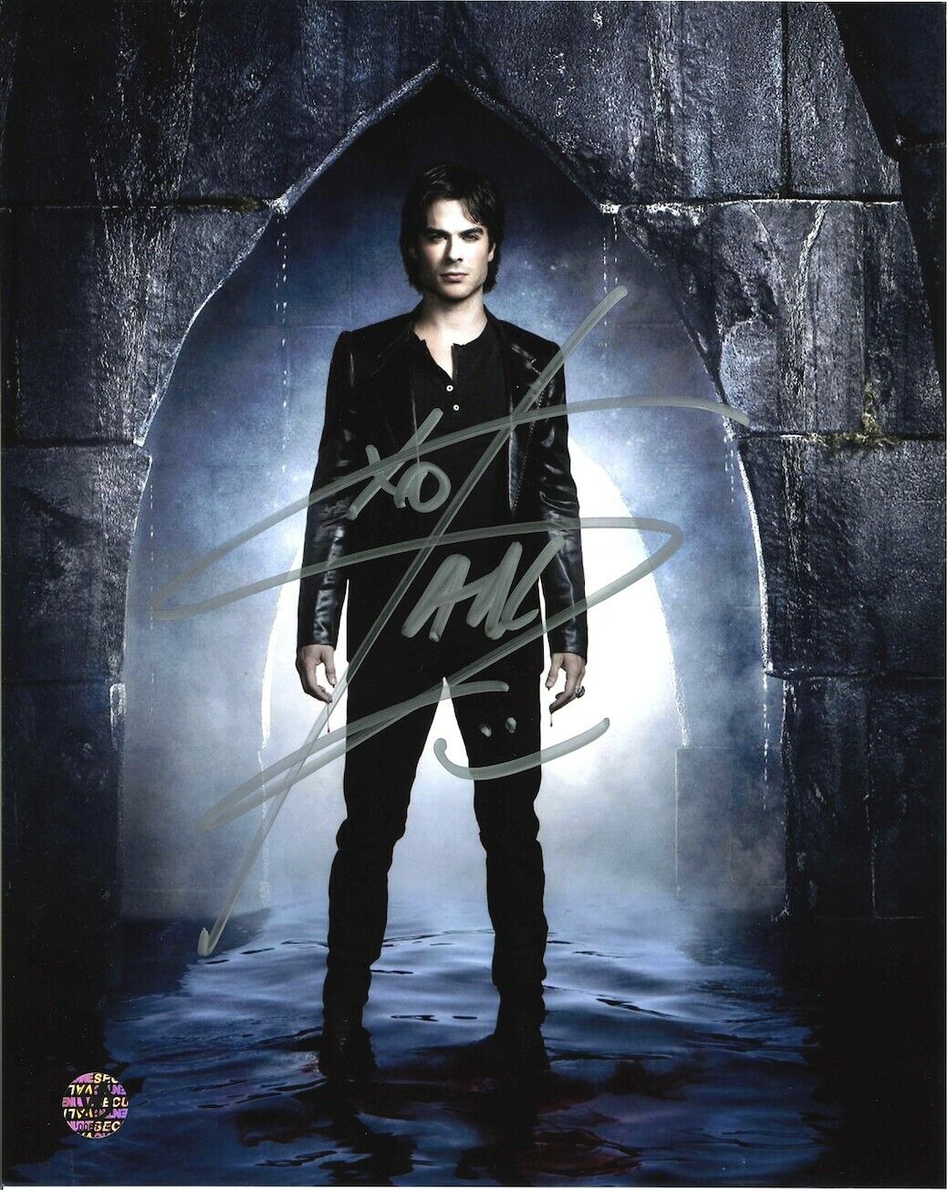 Ian Somerhalder 8 x 10 Autographed / Signed Photo Poster painting The Vampire Diaries (Reprint)