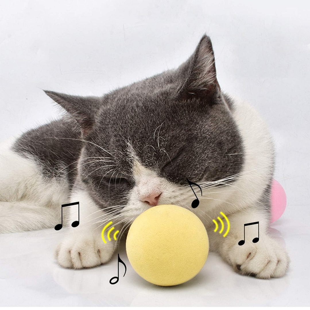 Interactive Gravity Squeaky Cat Toy Ball