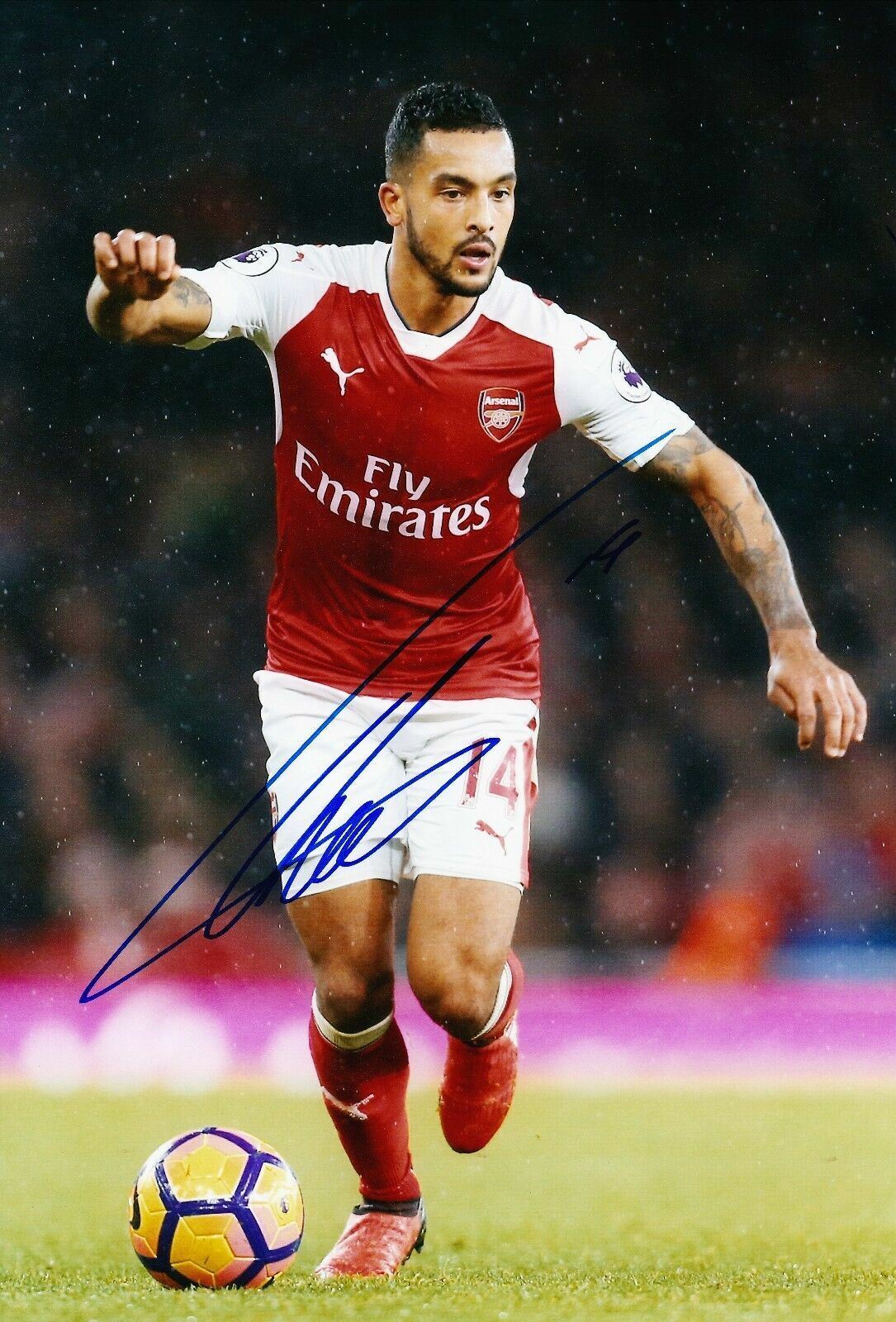 Theo Walcott Signed 12X8 Photo Poster painting Arsenal Autograph AFTAL COA (9098)