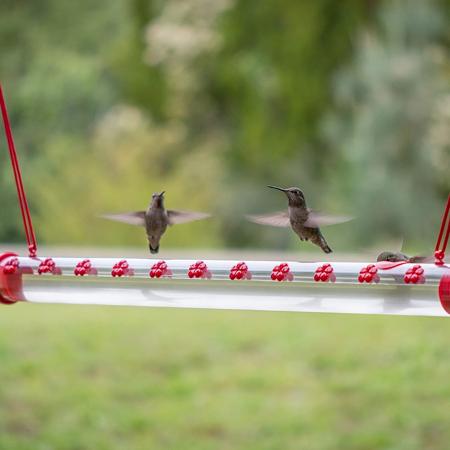 bobs hummingbird feeder