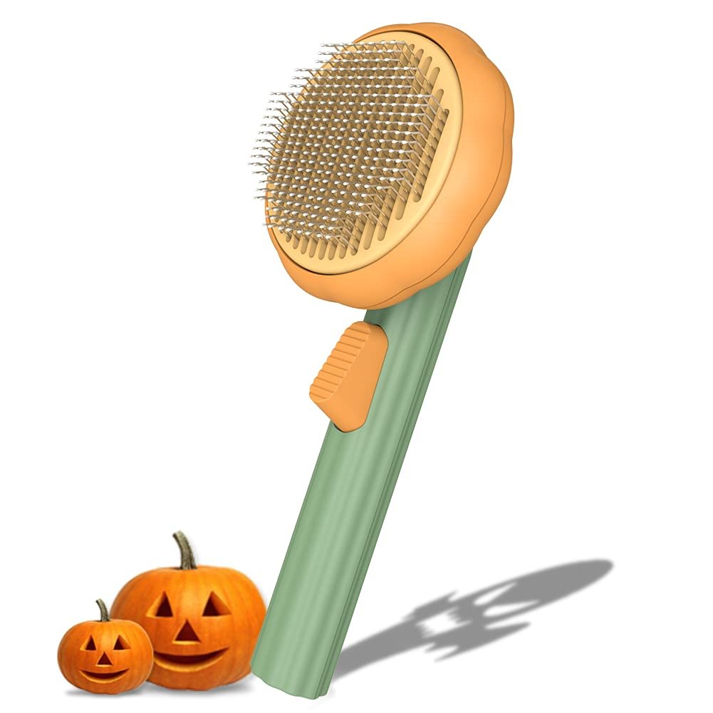  Pet Hair Remover (Pumpkin Style)