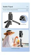 KingMa/cyke Mobile Phone Vlog Selfie Monitor Screen Mobile Phone Stabilizer, Magnetic Mobile Phone Holder Clip, Use Mobile Phone Rear Camera for Selfie Vlog Live TikTok, Compatible with iPhone (Does not support 4K recording)