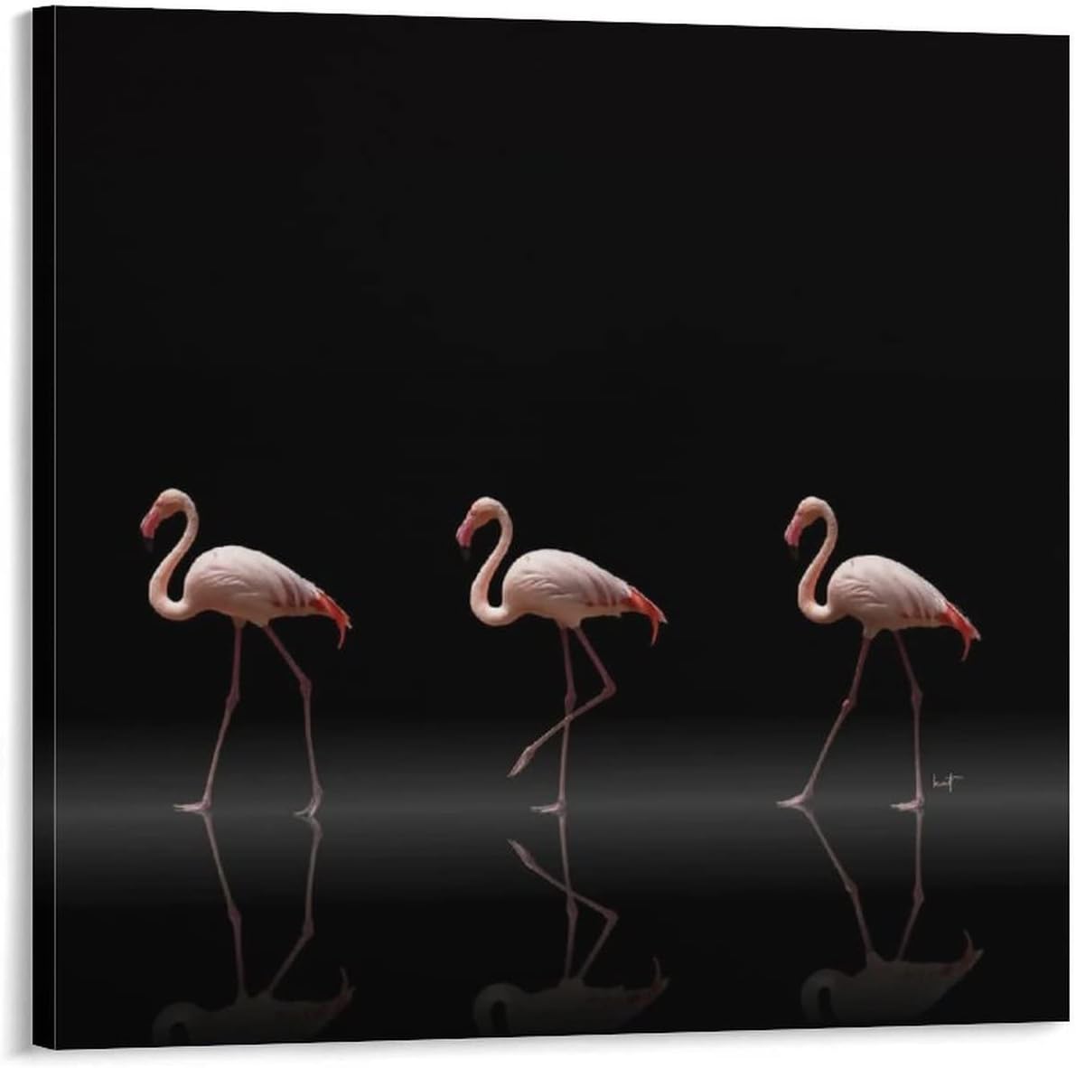 Posters & Prints Pink Flamingo Wall Art Park Zoo Decor Aesthetic Poster Beach Birds Wall Art Canvas Prints for Living Room Bedroom Office Kitchen Decor 28x28inch(70x70cm) Frame-Style 28x28inch(70x70cm)
