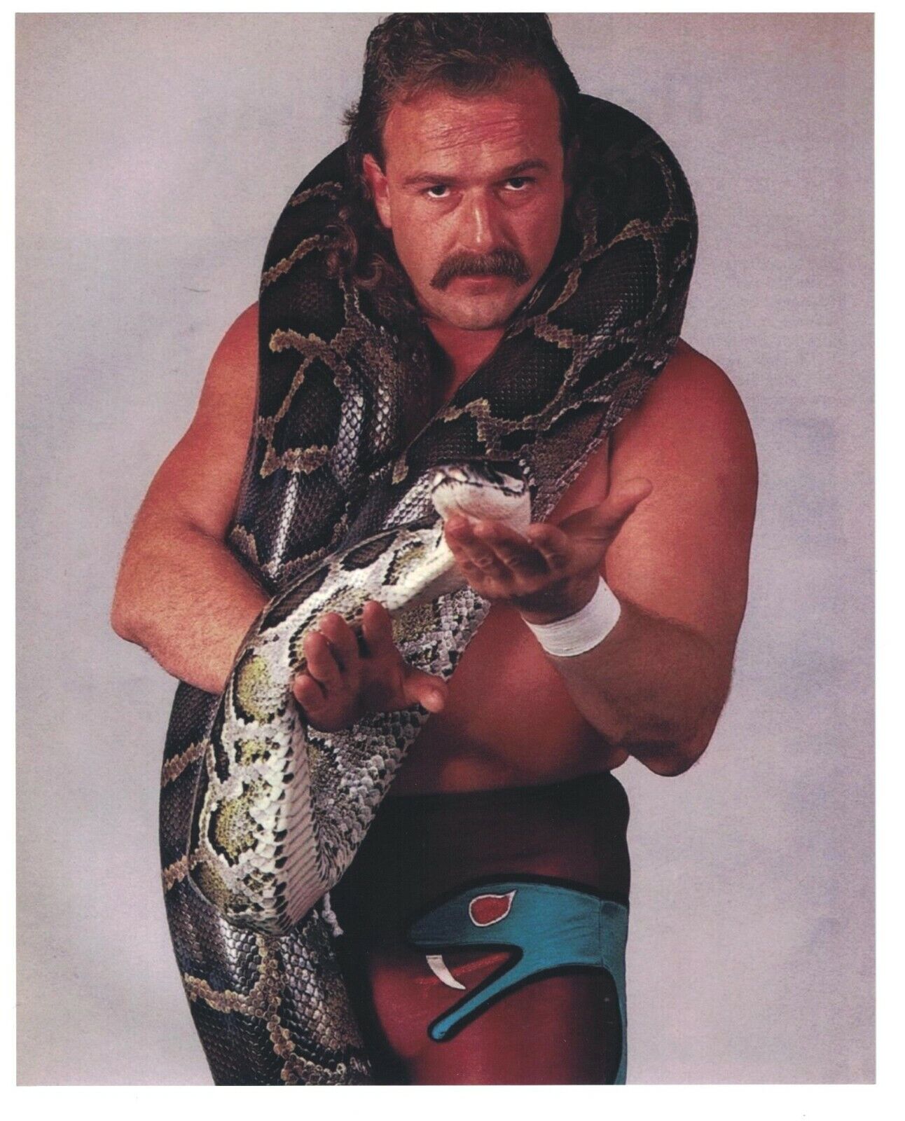 Jake The Snake Roberts Unsigned 8x10 Photo Poster painting WWF WWE