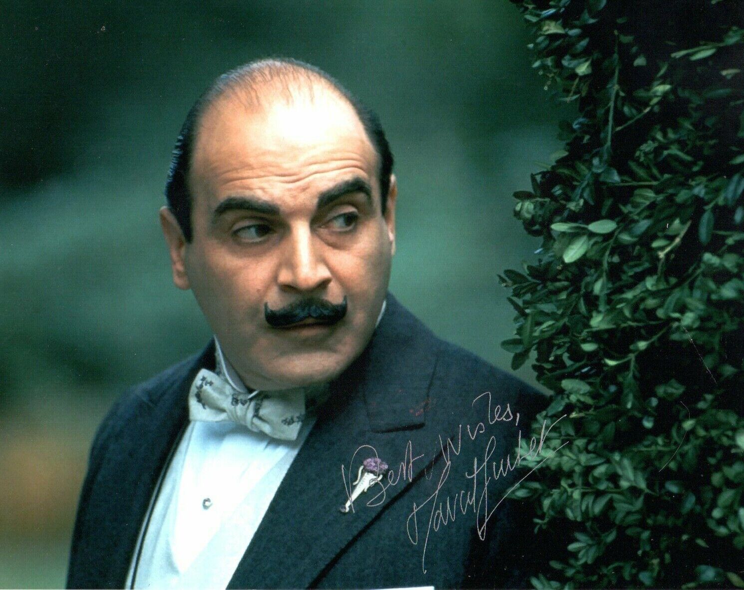 David Suchet Signed 10 by 8 inches Genuine Signature Photo Poster painting Poirot