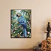 Diamond Painting-DIY Special Shaped Drill Pearl Painting Parrot(30x40cm)