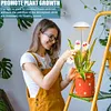 Full Spectrum Grow Lights Height Adjustable Plant Growing Lamp for Indoor Plants