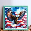 (Stamped/Counted) Flying Eagle-11CT Cross Stitch 40*40cm/15.75*15.75in tapestrymarket