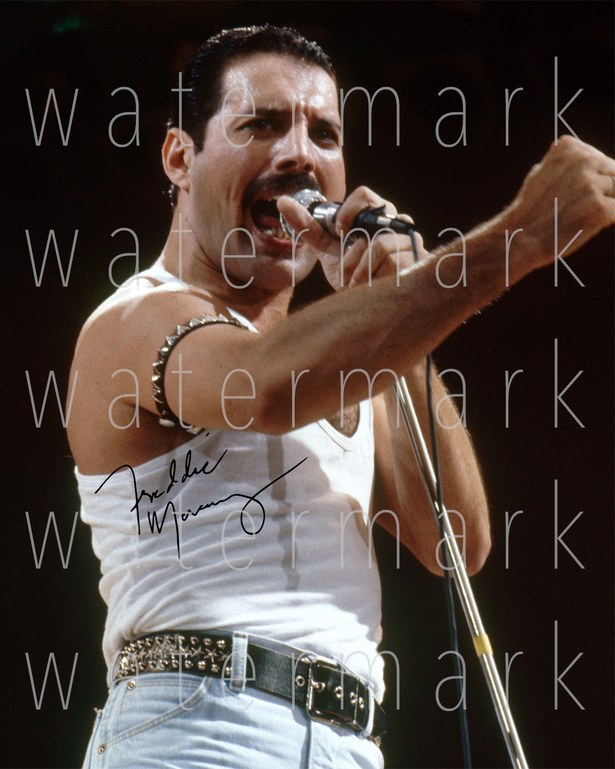 Freddie Mercury Queen signed 8X10 Photo Poster painting picture poster autograph RP