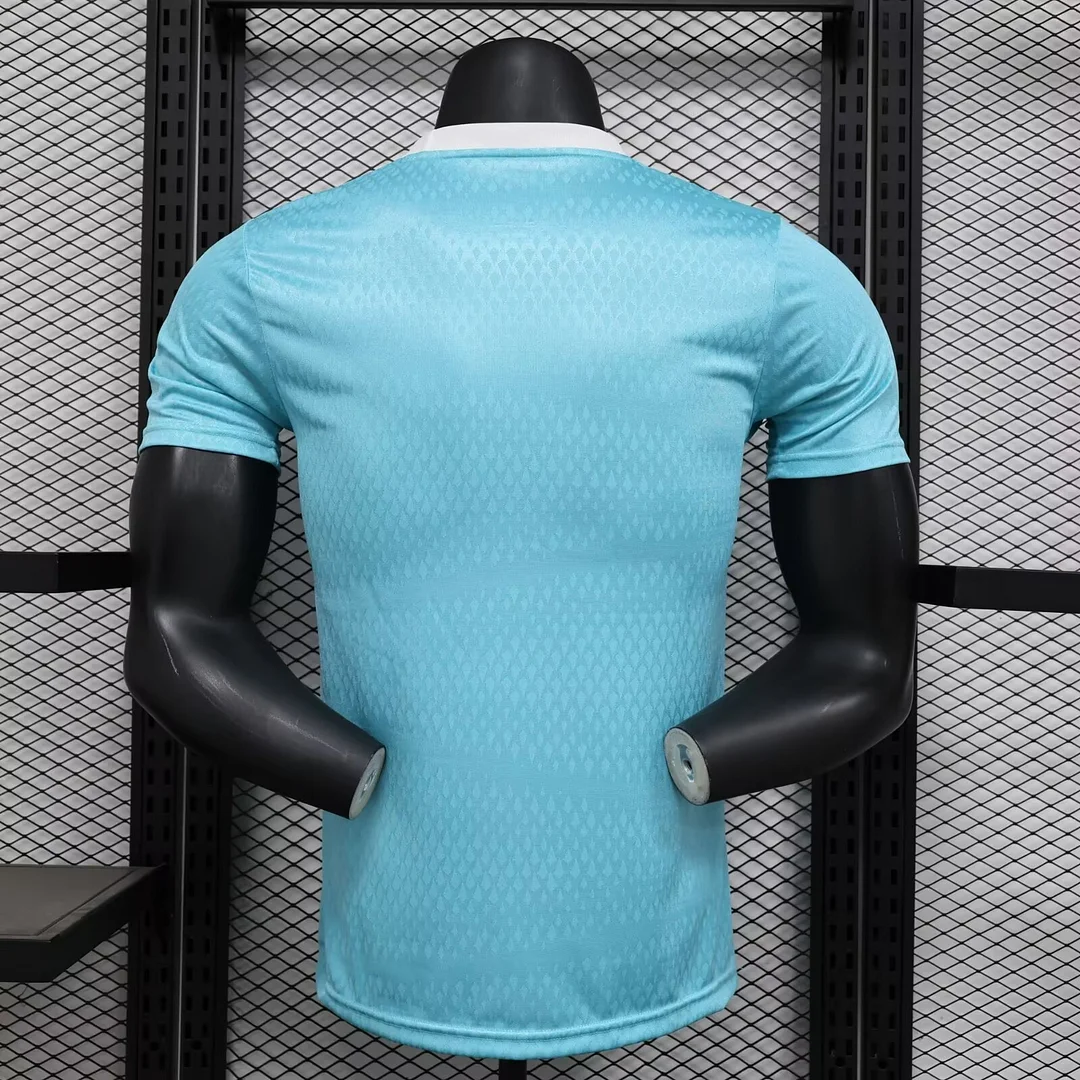 2024/2025 Arsenal Special Eidtion Player Version Football T-Shirt Thai Quality