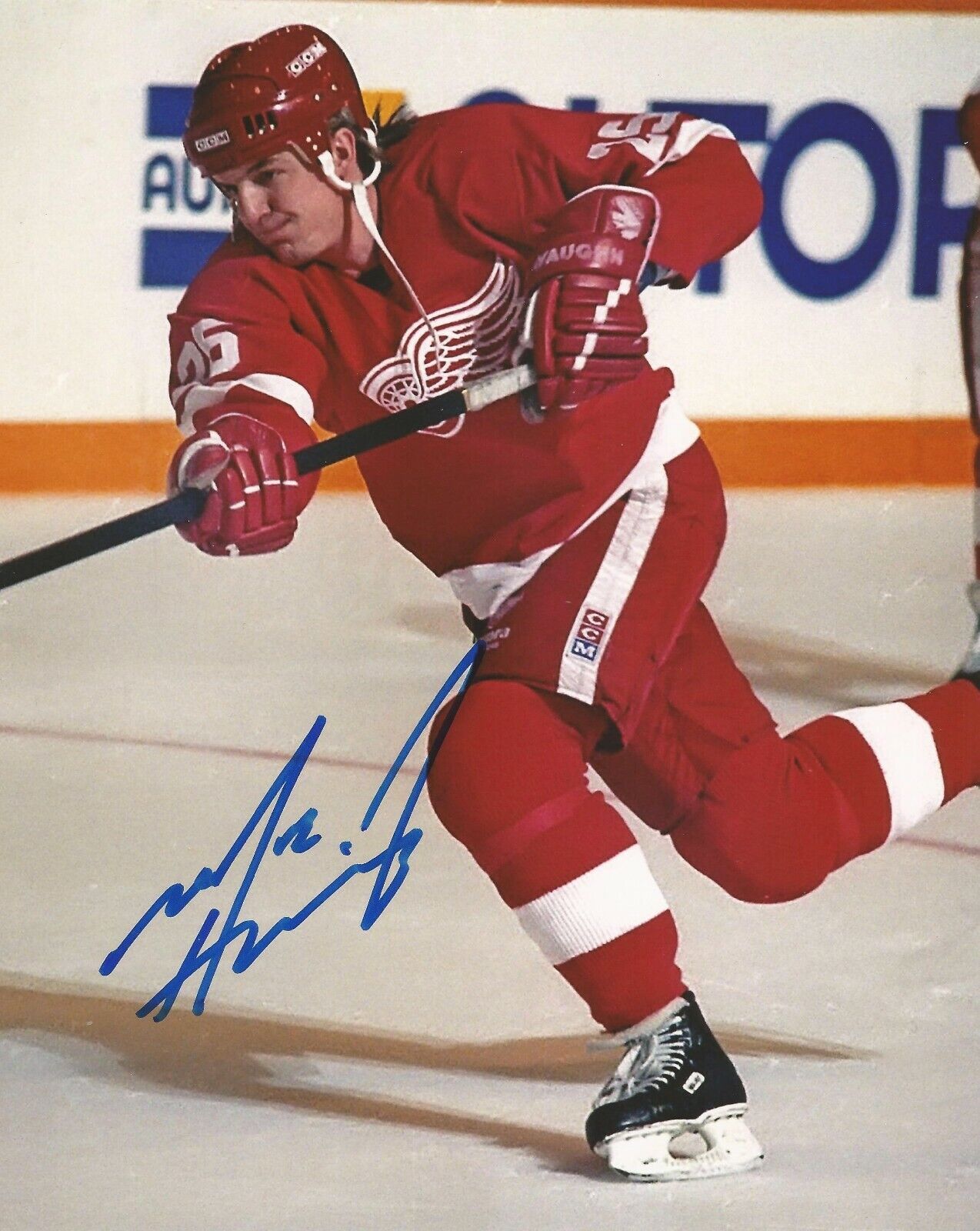 MARC HABSCHEID SIGNED DETROIT RED WINGS 8x10 Photo Poster painting with COA