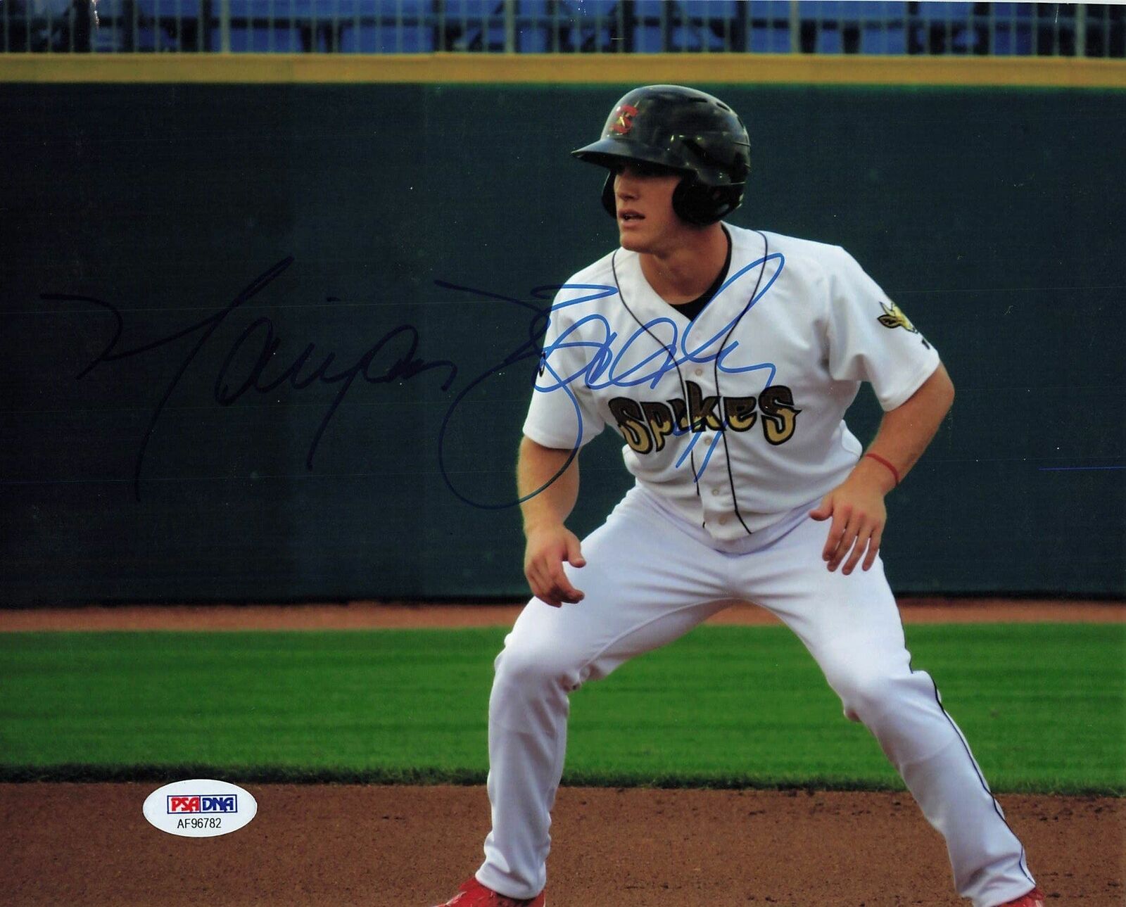 Harrison Bader signed 8x10 Photo Poster painting PSA/DNA St. Louis Cardinals Autographed