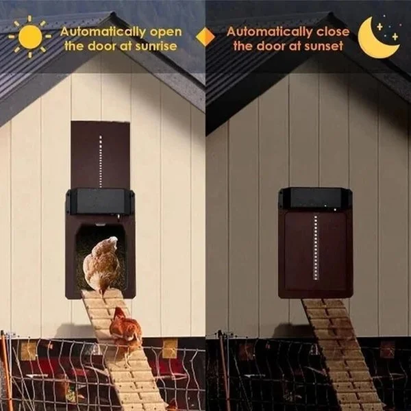 🎉LAST DAY 49% OFF🎉 - Automatic Chicken Coop Door