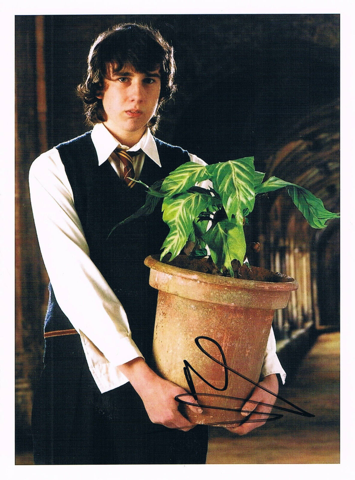 Matthew Lewis 1989- genuine autograph signed 5x6.5