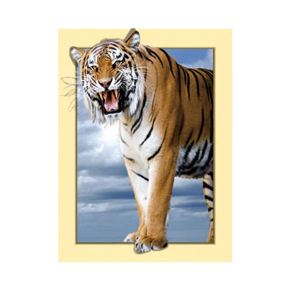 Full Round Diamond Painting - Tiger(35*45cm)