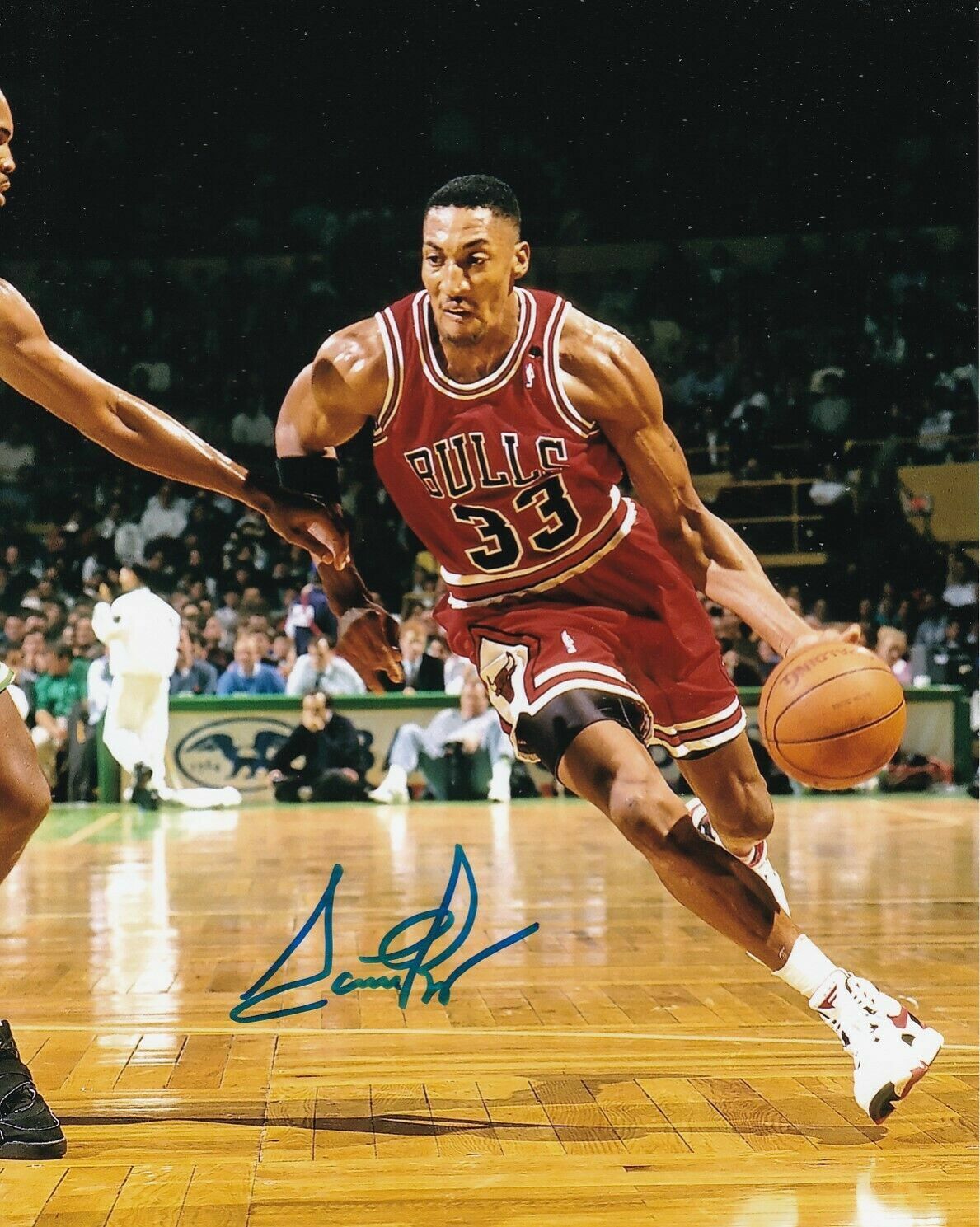 Scottie Pippen Autographed Signed 8X10 Photo Poster painting Bulls REPRINT ,