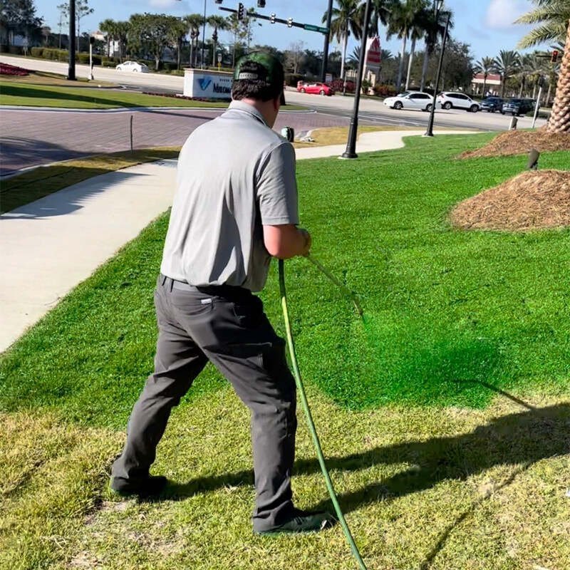 Green Grass Lawn Spray