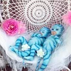 Babiesprincess Lifelike Reborn Baby Doll, Babiesprincess