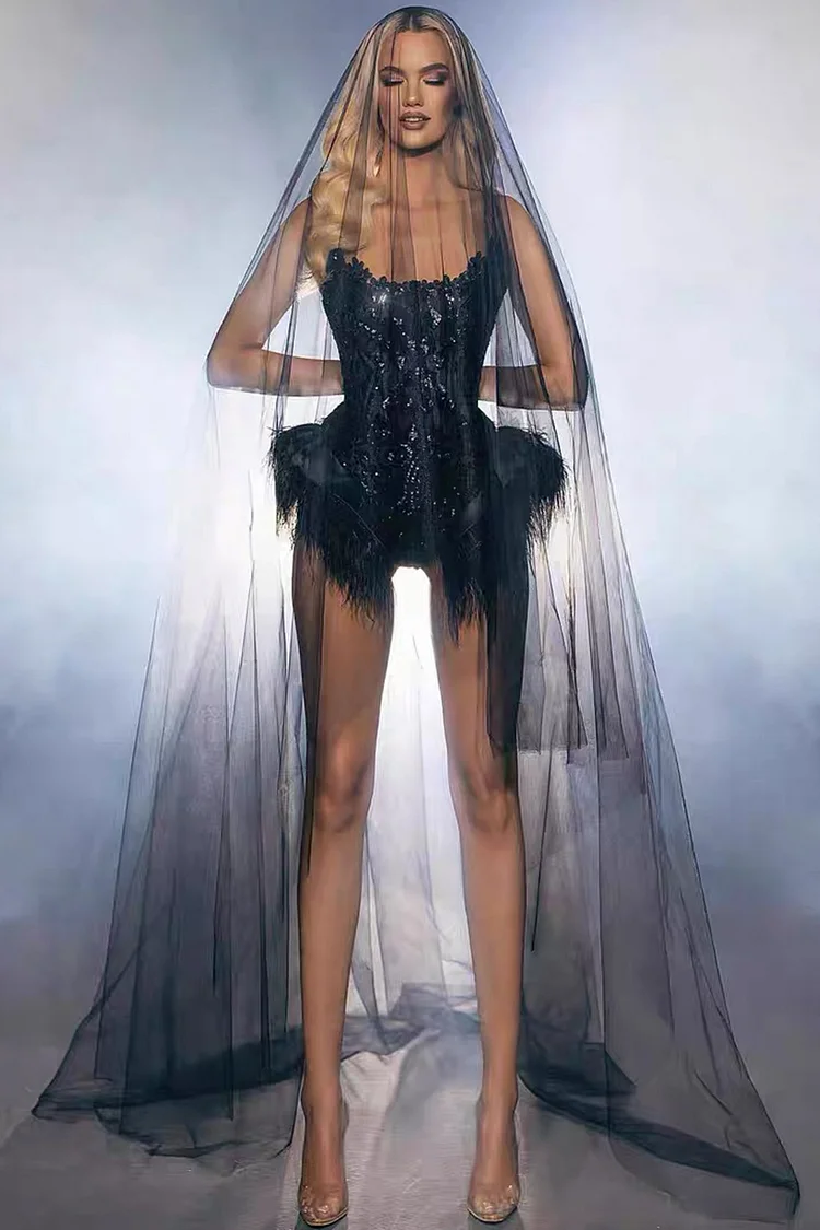 Strapless Lace Trim Sequin Mesh Feather Mini Dress-Black