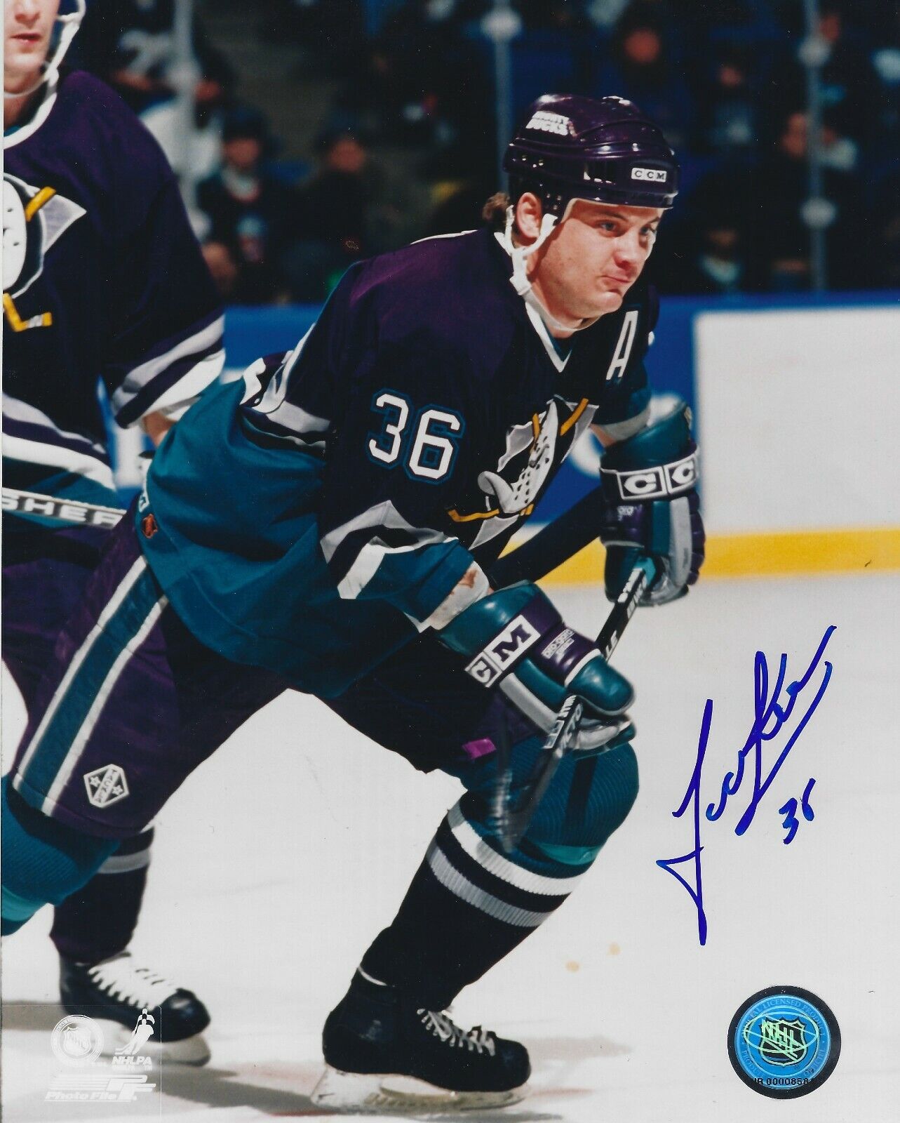 Signed 8x10 TODD EWEN Anaheim Ducks Autographed Photo Poster painting - COA