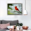 Red Bird   | Full Round Diamond Painting Kits