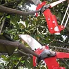 High-Altitude Branches Trimmer Labor-Saving Tree Pruner Fruit Pick Cutting Tools